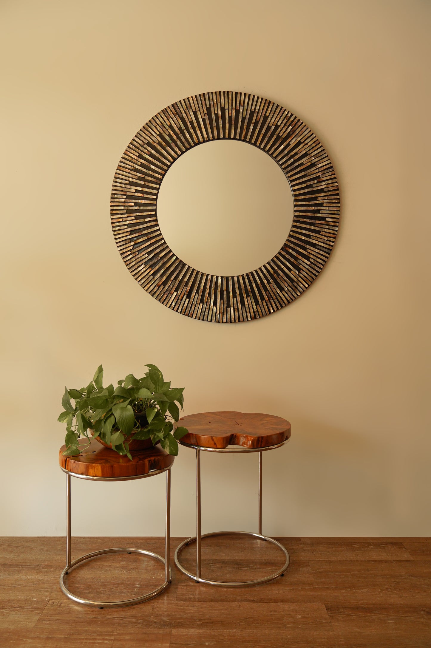 Librillo M Negro- Circular