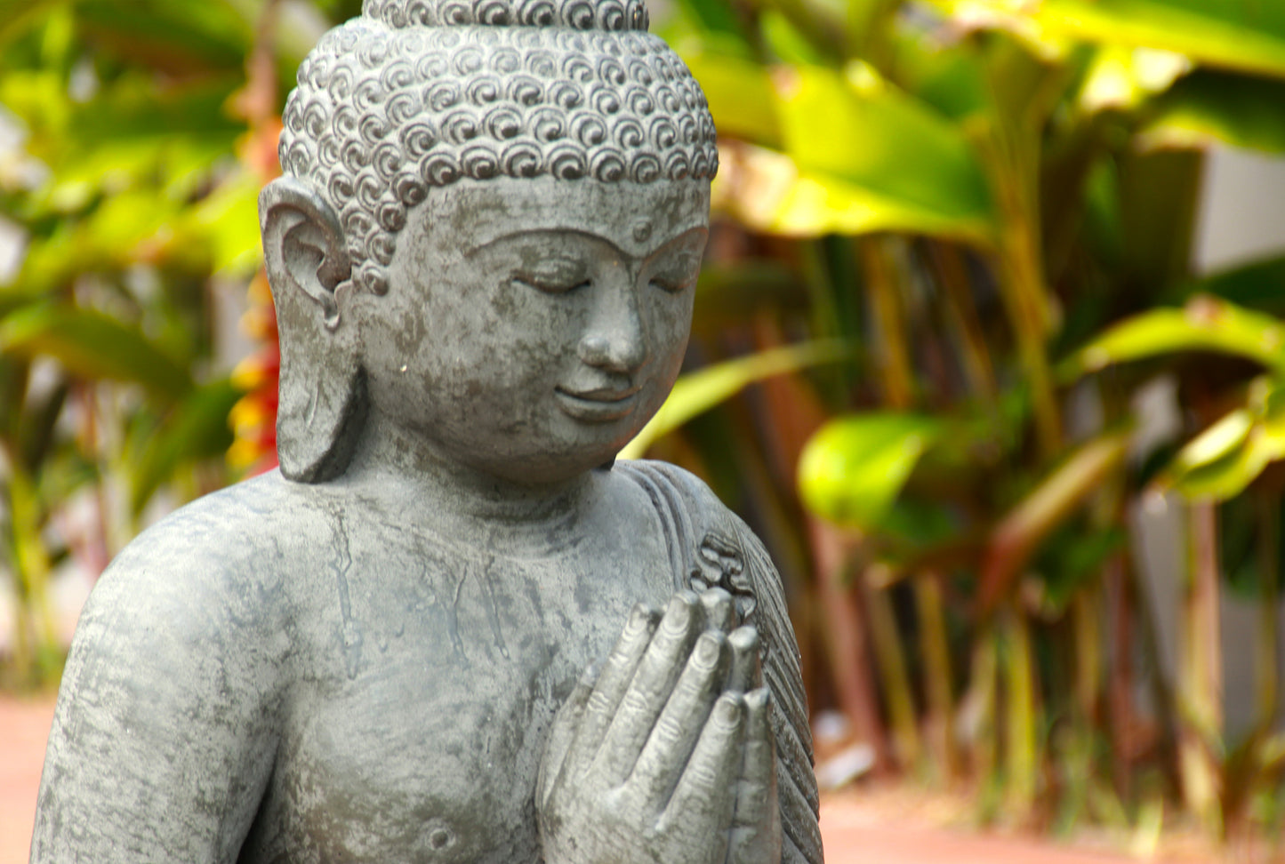 Buda G Namaste