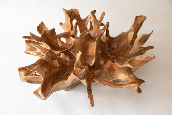 Mesa de centro Raíz Carving G