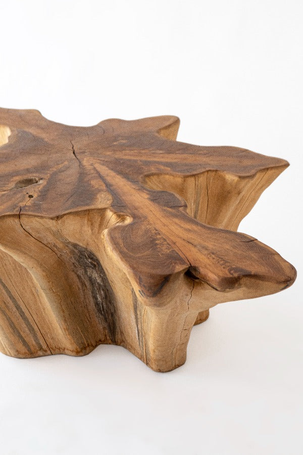 Mesa de centro Raiz Solid XL