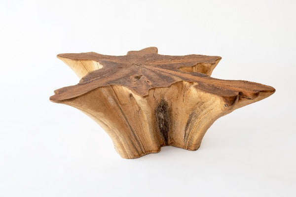 Mesa de centro Raiz Solid XL
